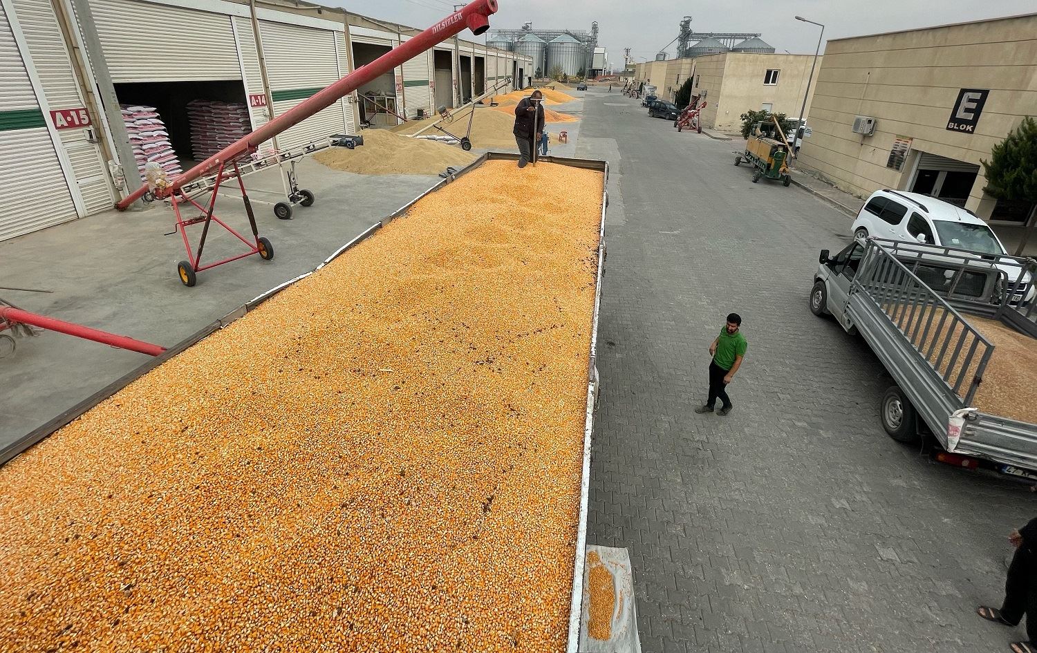 Tê pêşbînîkirin îsal li Mêrdînê 2 milyon ton garis bên hilberîn