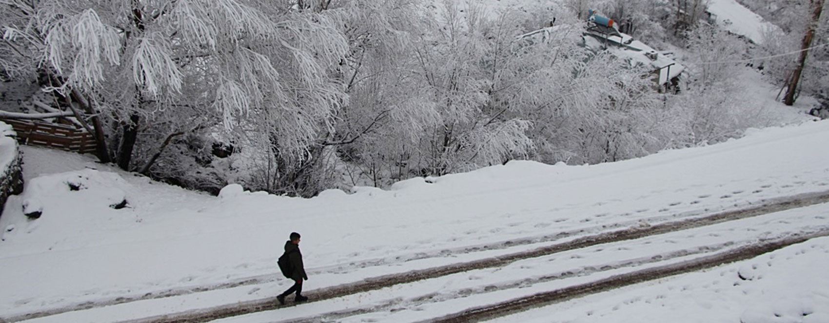 WÊNE - Kanîreş bi berfê spî bû