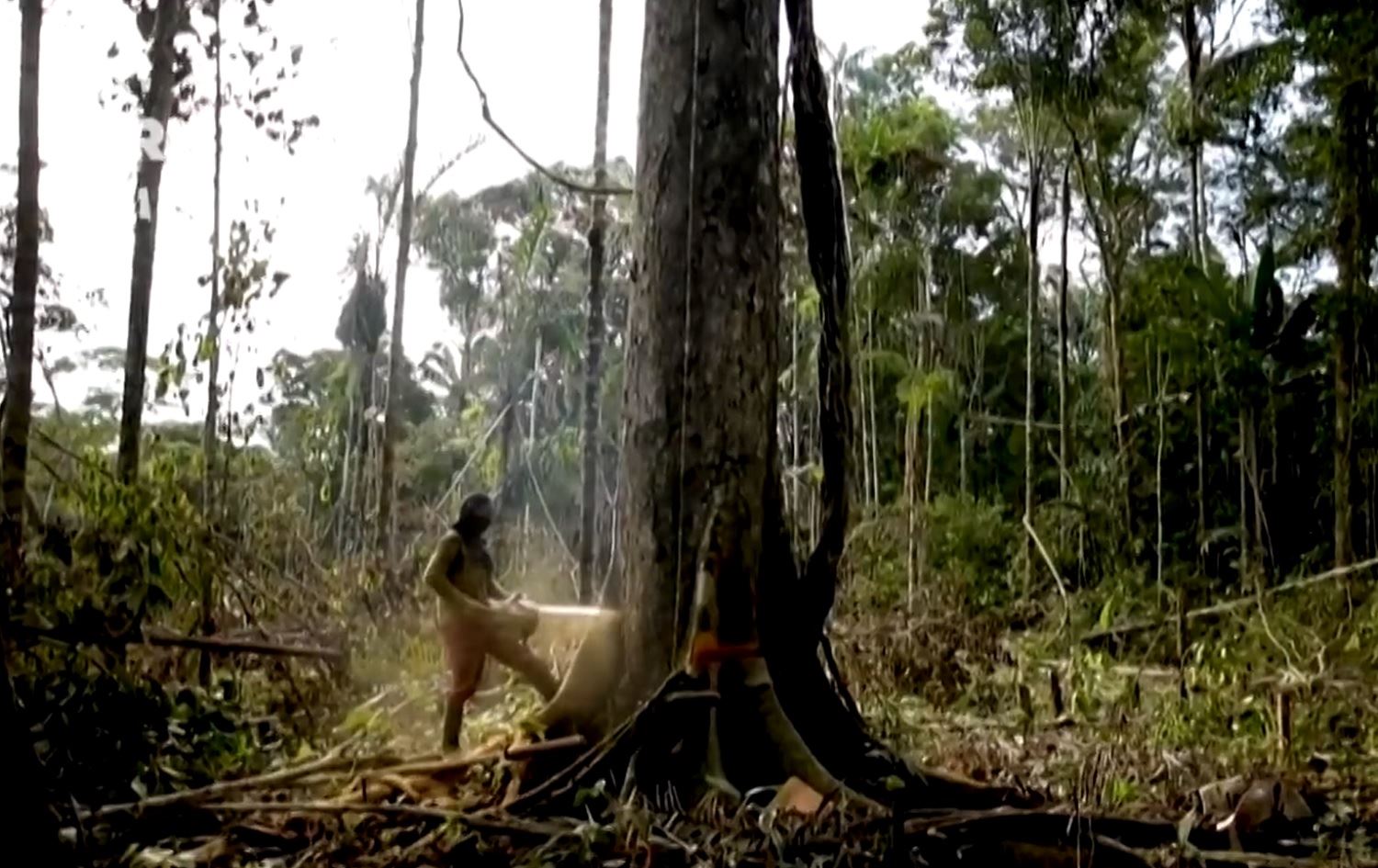 Li Kolombiya darên 100 salî tên birîn