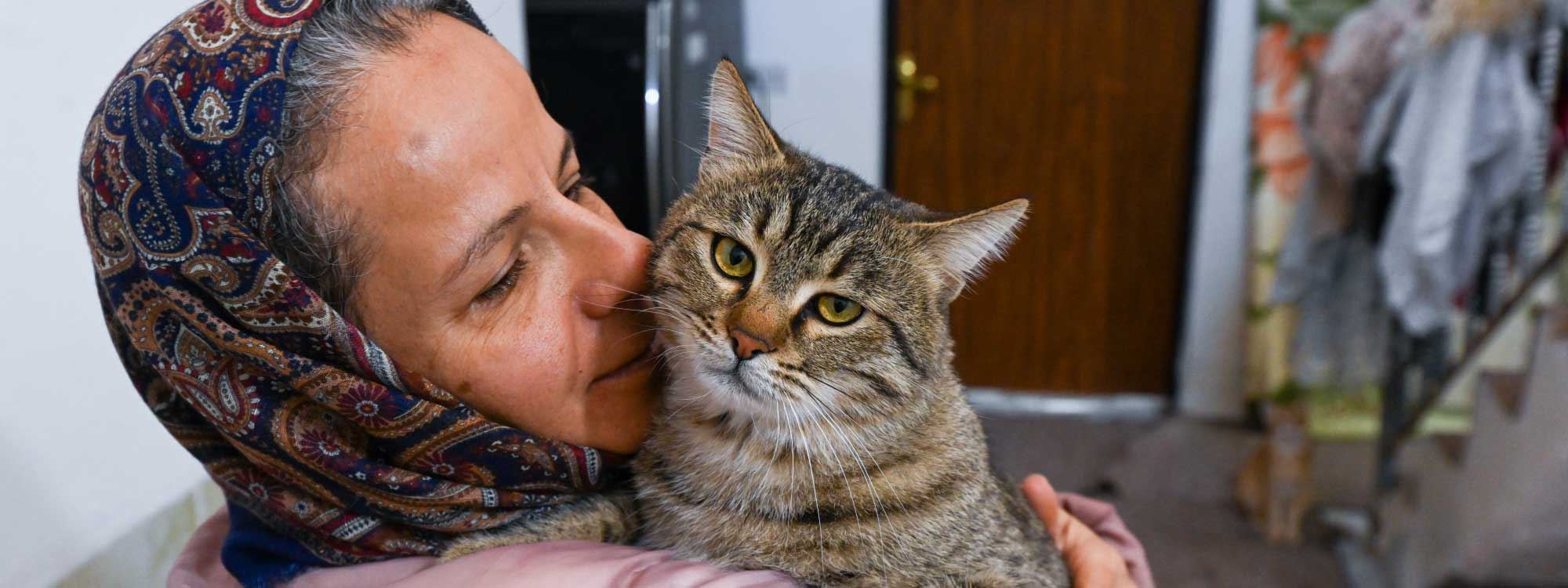 FOTO – Hayvansever öğretmen Erbil’de sokak kedileri için ev kiraladı
