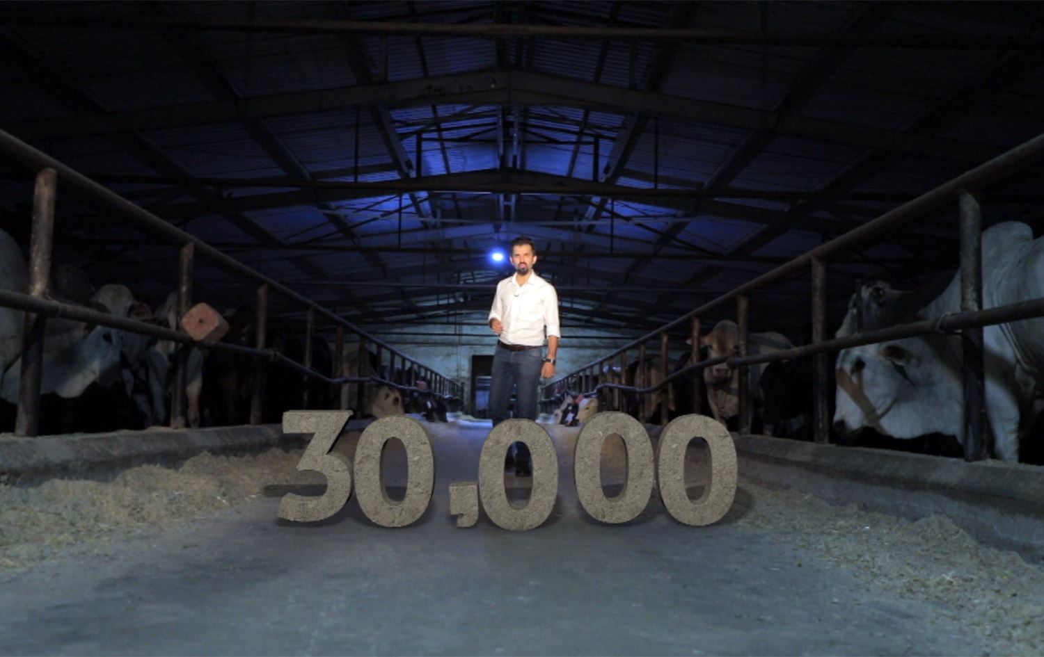 ساڵانە چەند سەر ئاژەڵ هاوردەی هەرێمی کوردستان دەکرێت و هەر تاکێک چەند کیلۆ گۆشت دەخوات؟