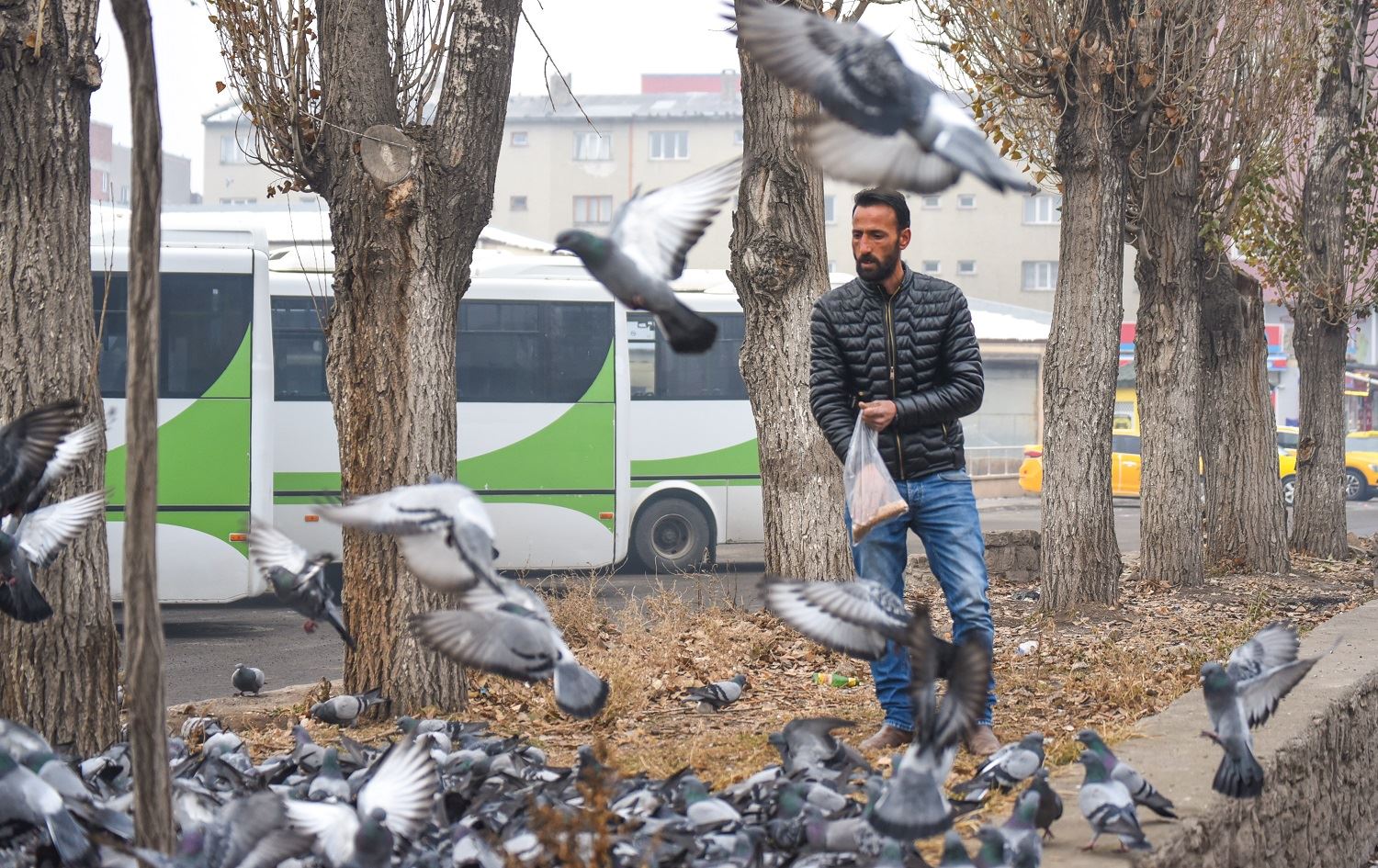 Ajelên Qersê ji ber berfê birçî man