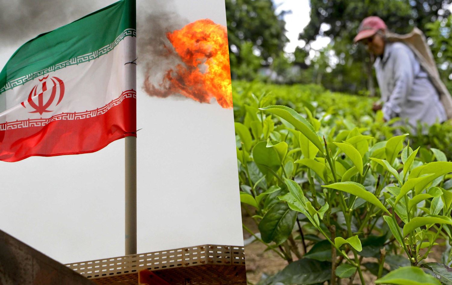 ئێران نەوت بە چا دەگۆڕێتەوە