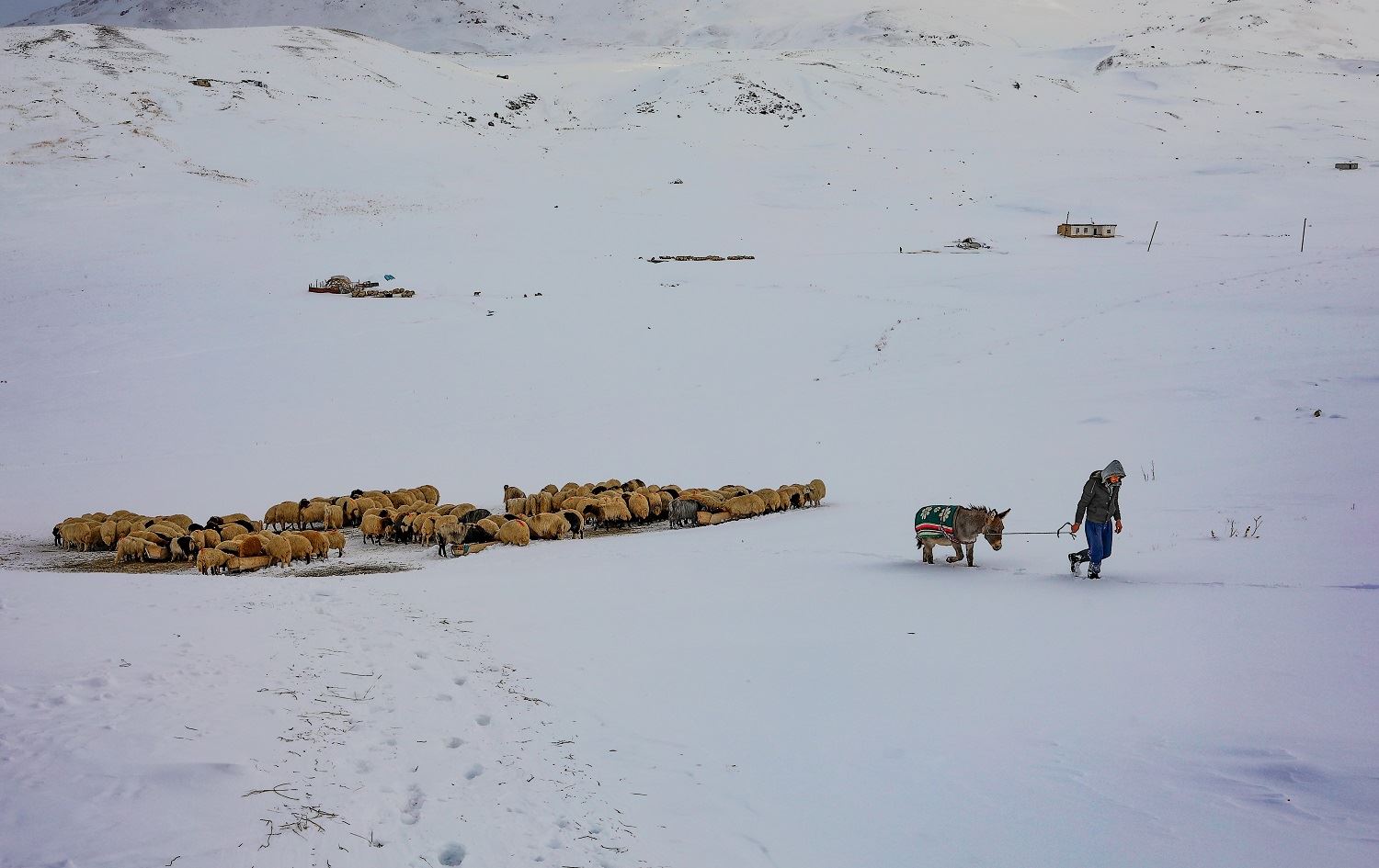 Li Wanê jiyana zehmet a gundiyan û ajeldarî