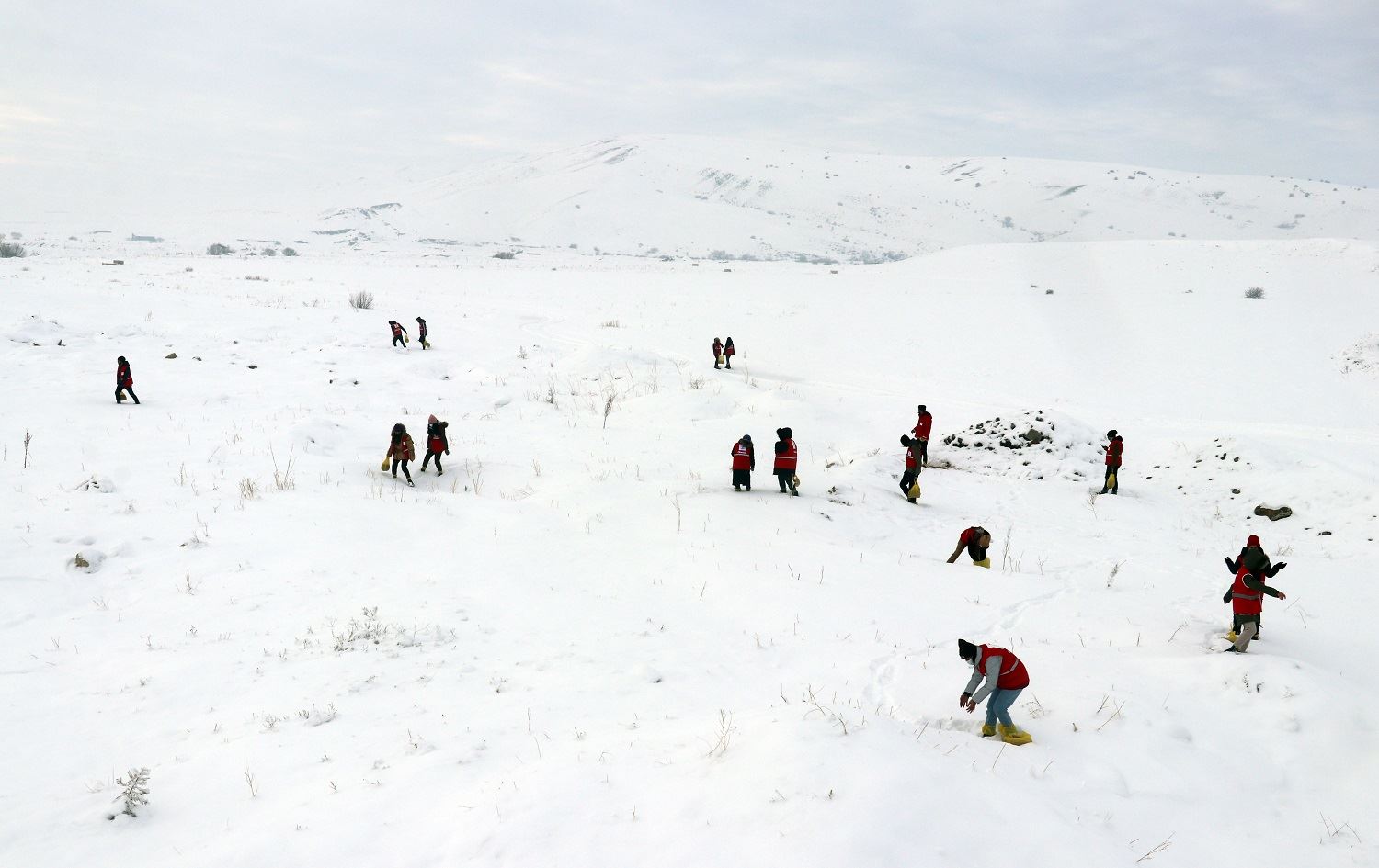 Xwebexşan ji bo ajelên kovî xwarin danîn herêmên berfê