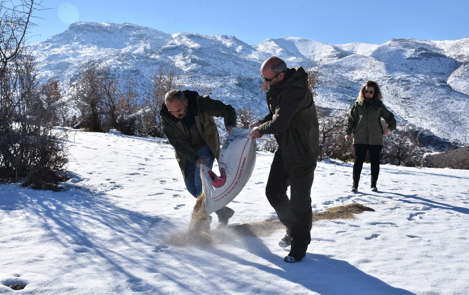 Li Şirnexê ji bo ajelên kovî xwarin danîn xwezayê