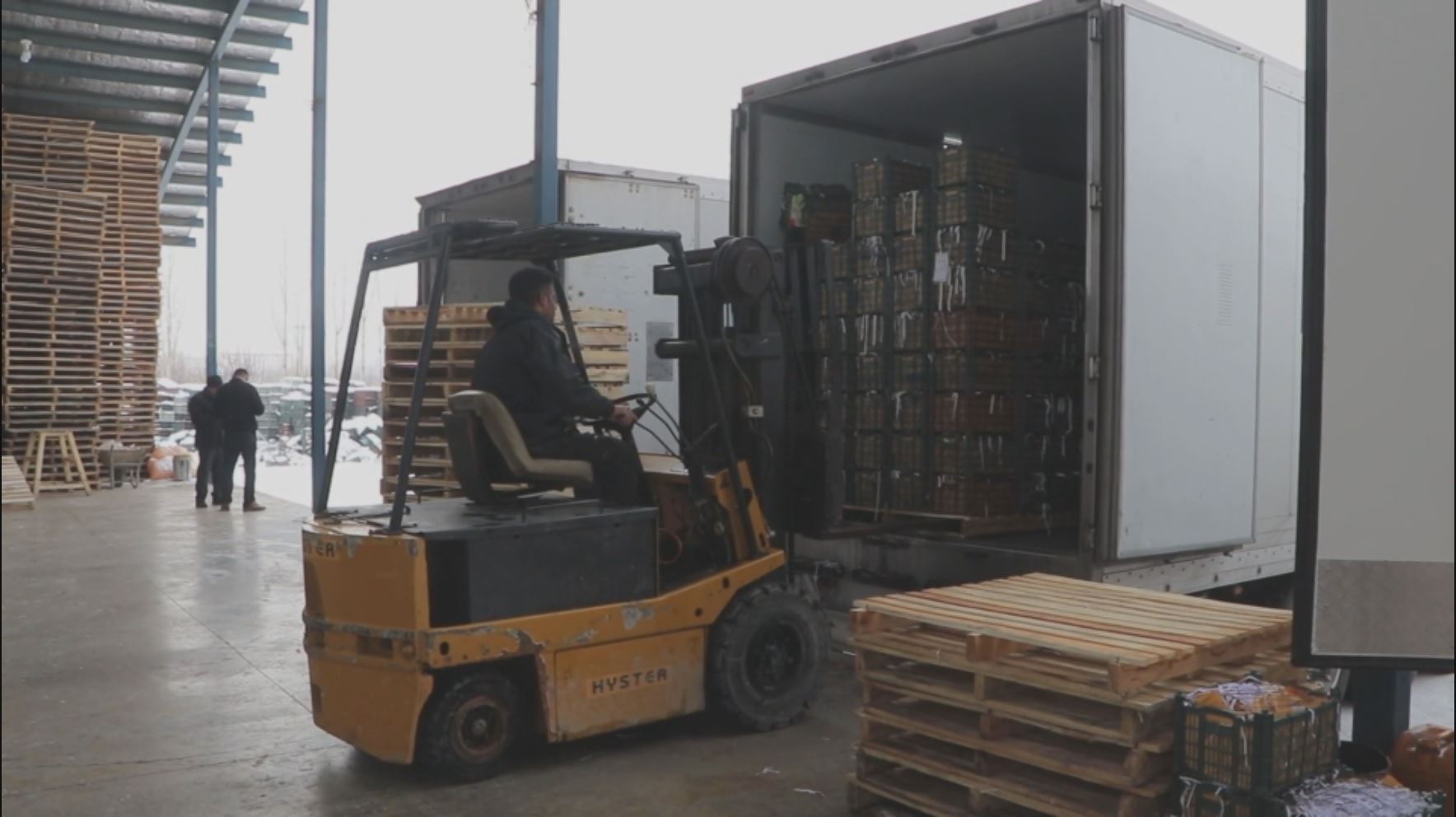 بەڕێوەبەرایەتیی کشتوکاڵی ورمێ: دەبێت رۆژانە 5000 تۆن سێو هەناردە بکرێت