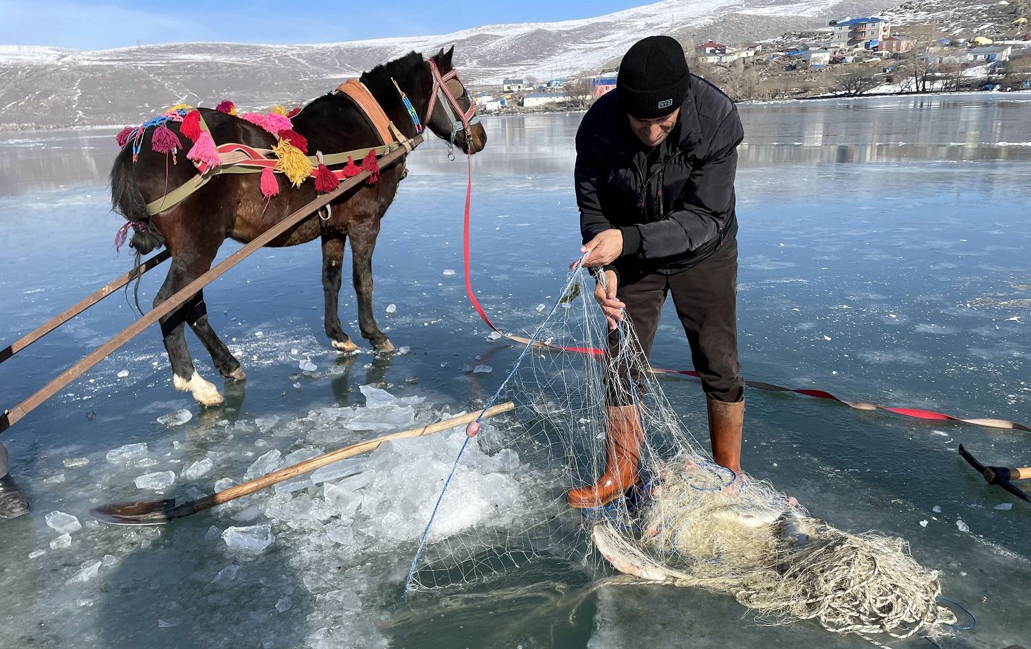 Li Gola Çildarê nêçîra masiyan a bi hespan