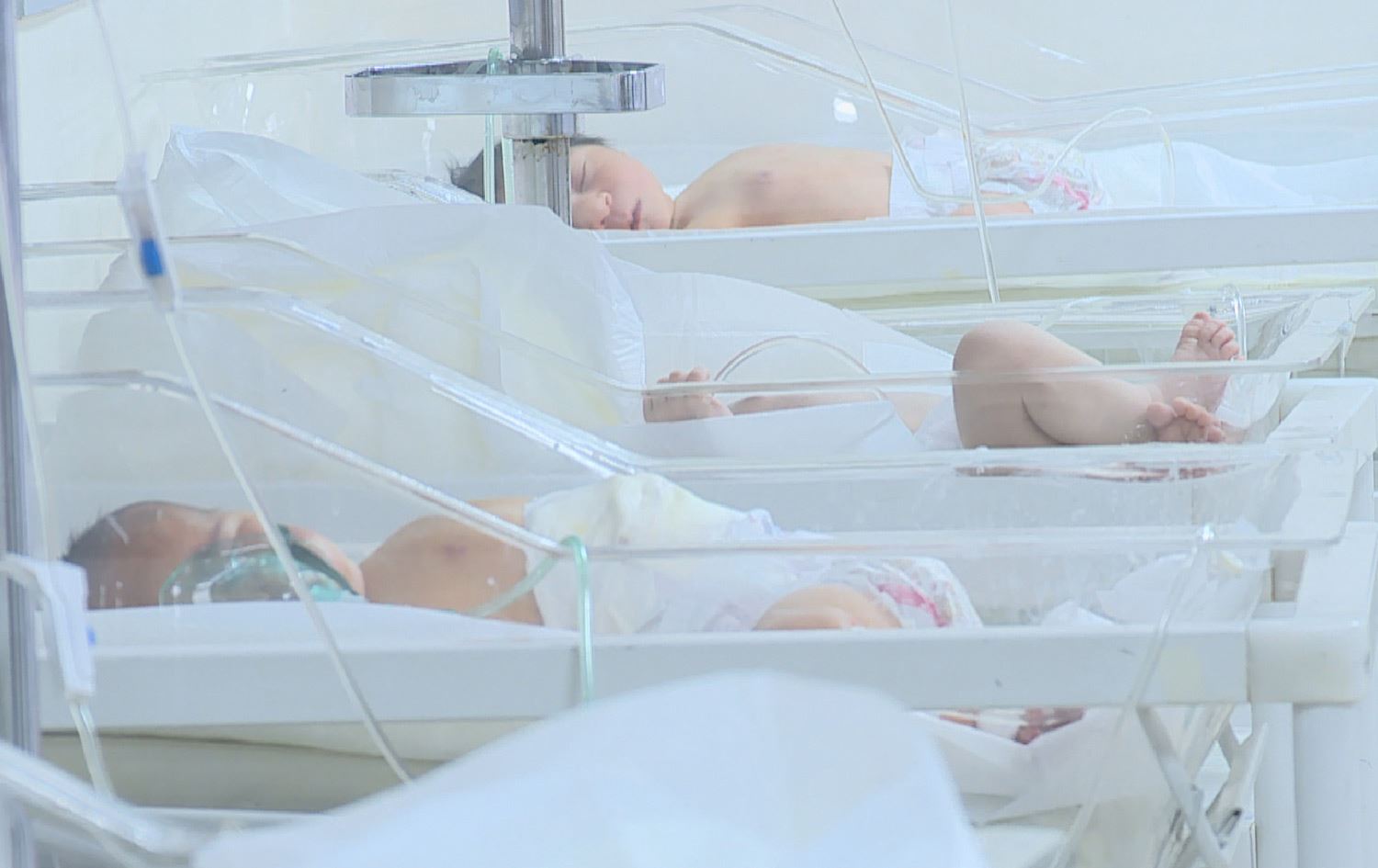 لە هەولێر دیاری بەخشرایە ئەو دایکانەی لە شەوی سەری ساڵ منداڵیان بوو