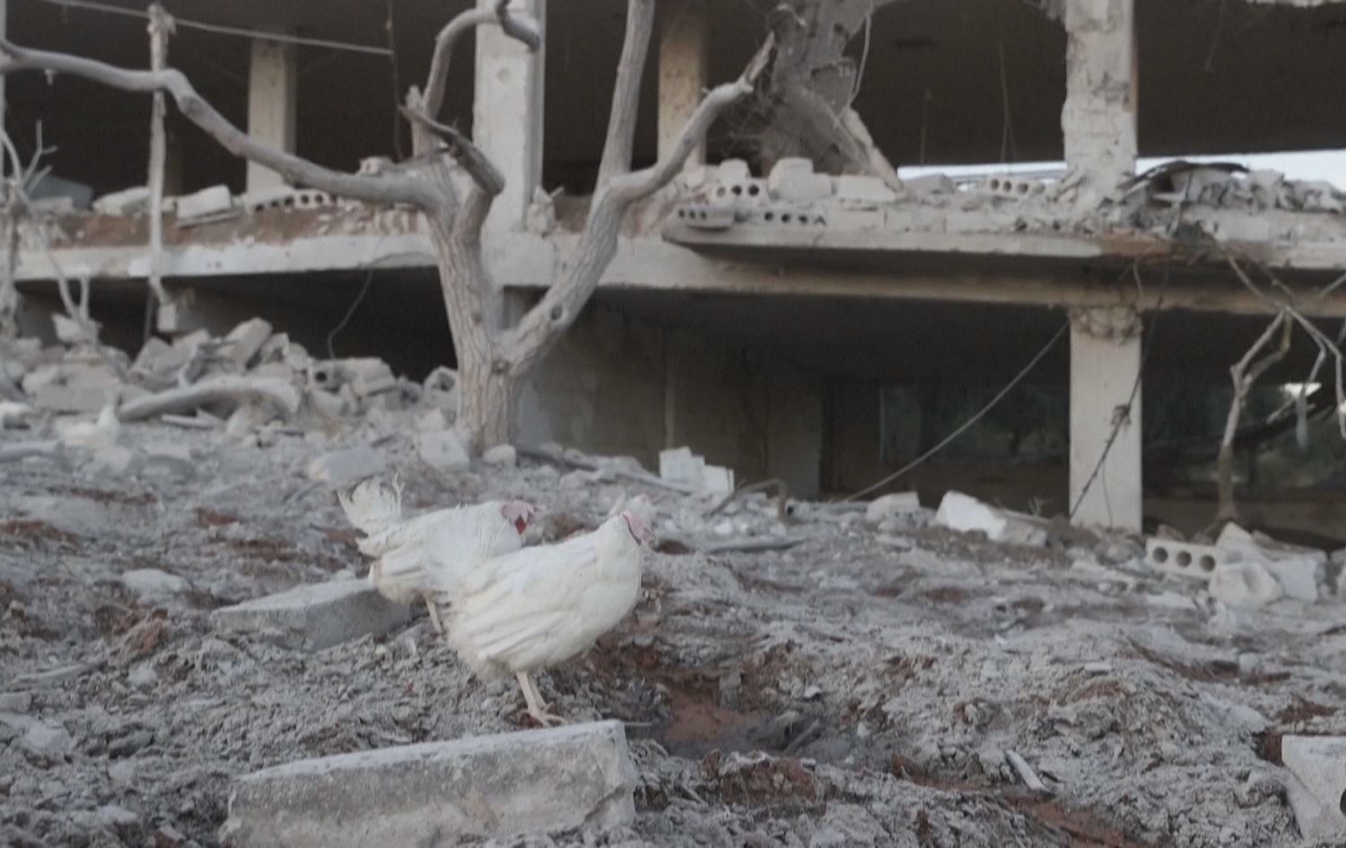 Êrîşên Rûsyayê li derdora Idlib zêde bûne