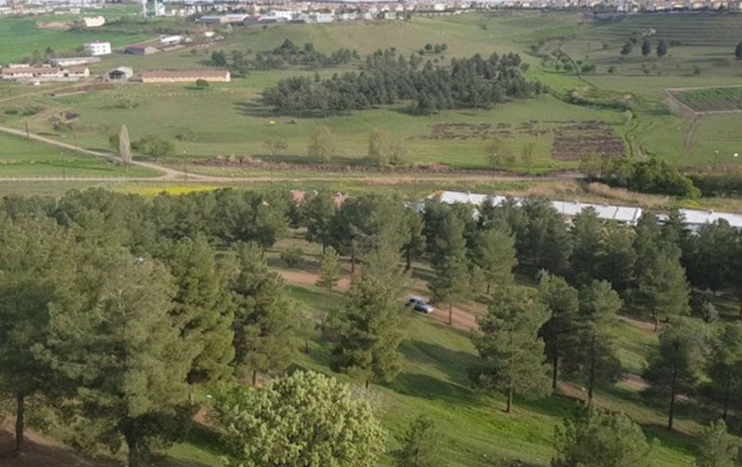 Bahçeli’nin adına Diyarbakır’da ‘hatıra ormanı’ kurulacak