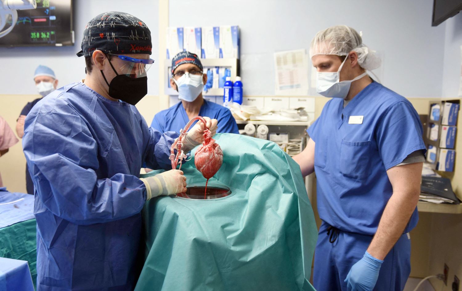 Bo yekem car dilê beraz bo mirovekî tê veguhestin