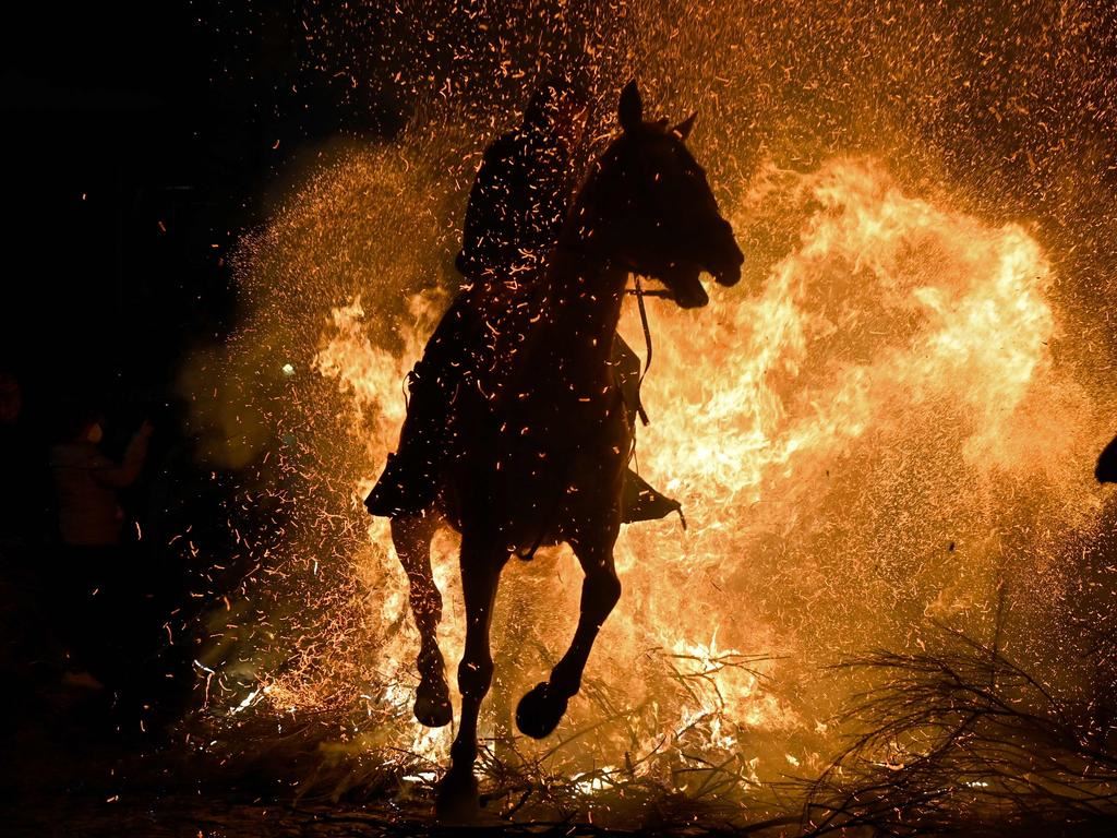 Festîvala hespsiwariyê hat lidarxistin