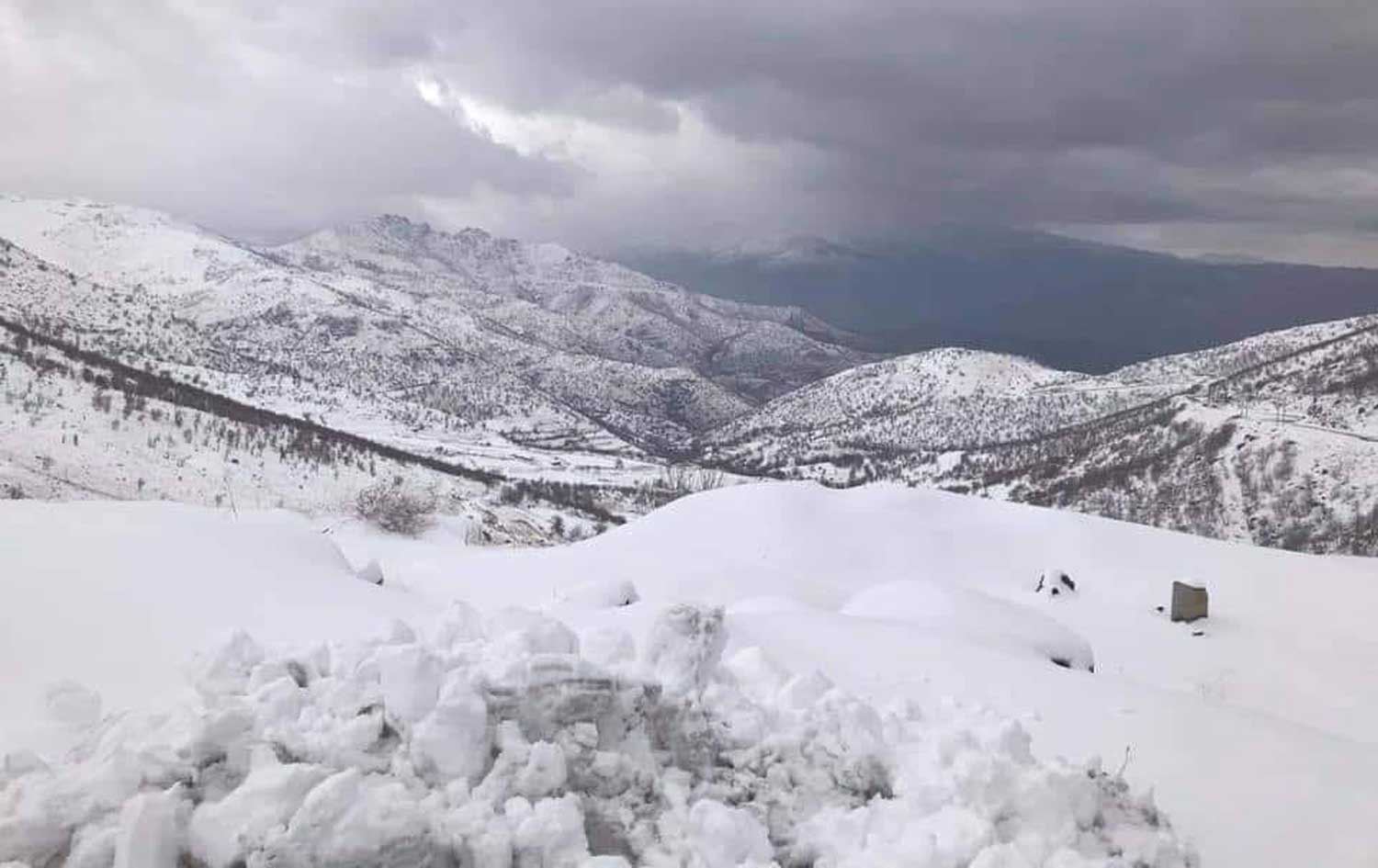 لە هەڵشۆ 450 سەر مەڕ و بزنی قاچاخ بە رەنووی بەفر مرداربوون
