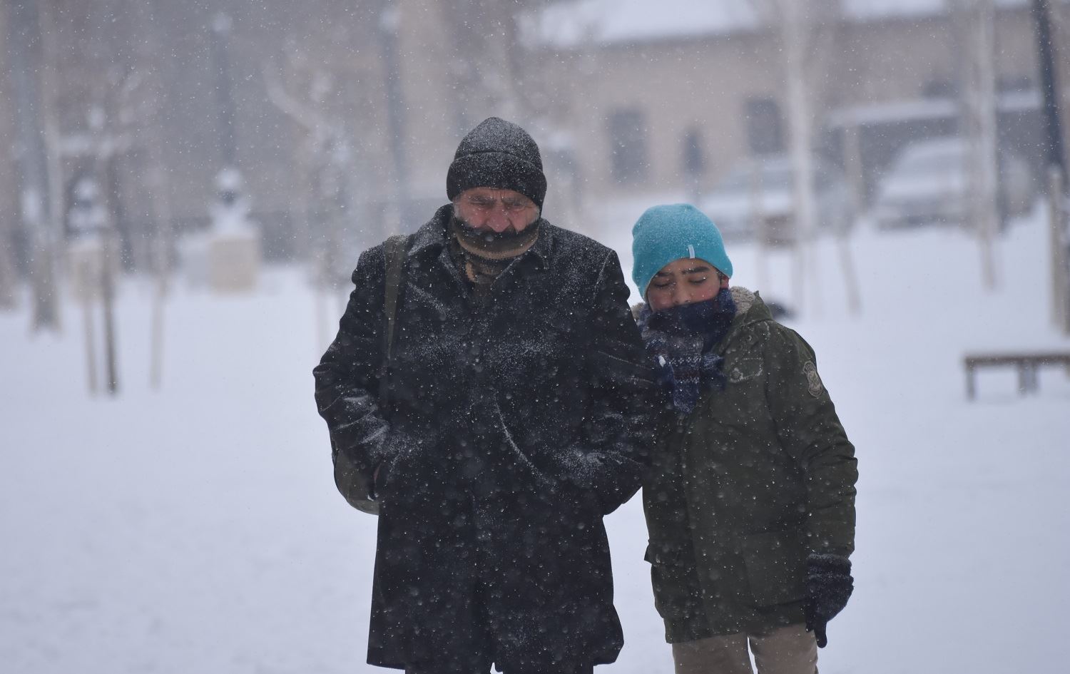 Li 21 parêzgehên Bakurê Kurdistanê perwerde hat rawestandin