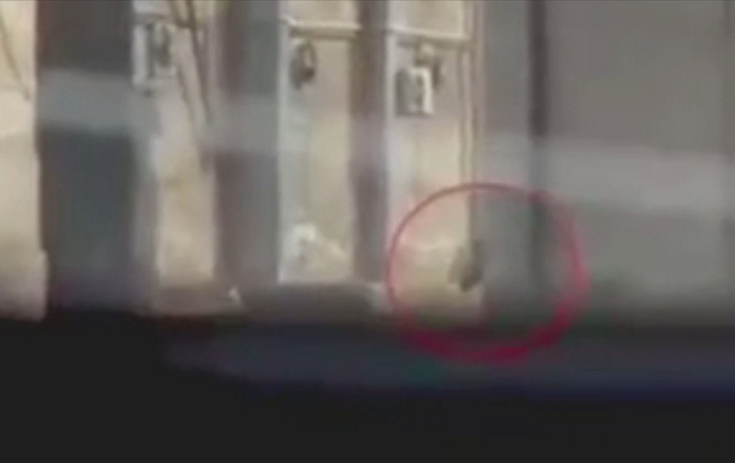 VÎDEO - Rûdaw dîmenên şerê di nav zîndana Sînaa de belav dike