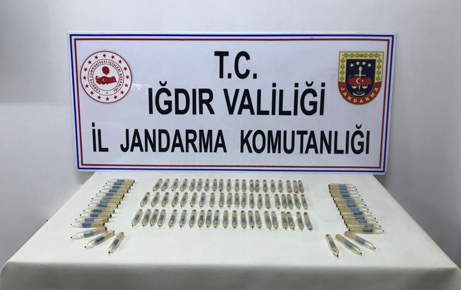 Iğdır'da 92 tüp yılan zehri ele geçirildi