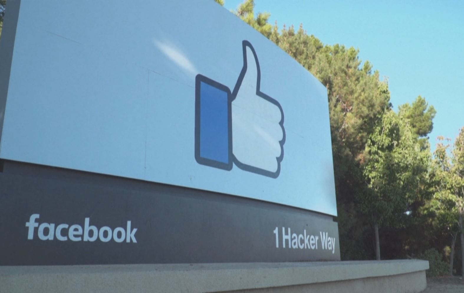 پشکەکانی کۆمپانیای مێتا بەڕێژەیەکی بەرچاو دادەبەزێت