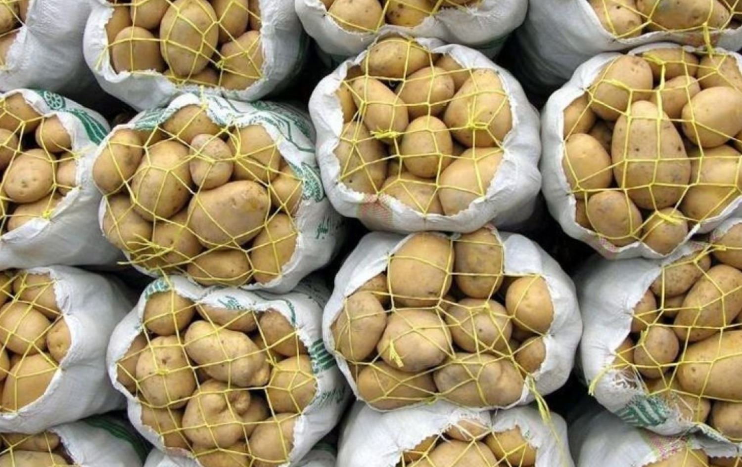 نرخی پەتاتە لە ئێران لە شەش مانگدا بە رێژەی 75% بەرزبووەتەوە