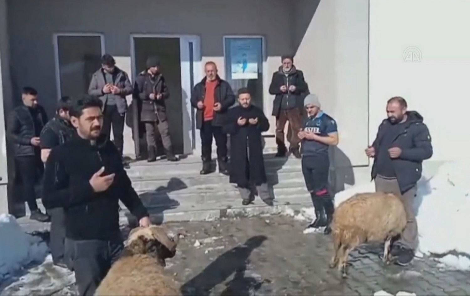 Cotkaran ji ber barîna berfa zêde qûrban serjêkirin