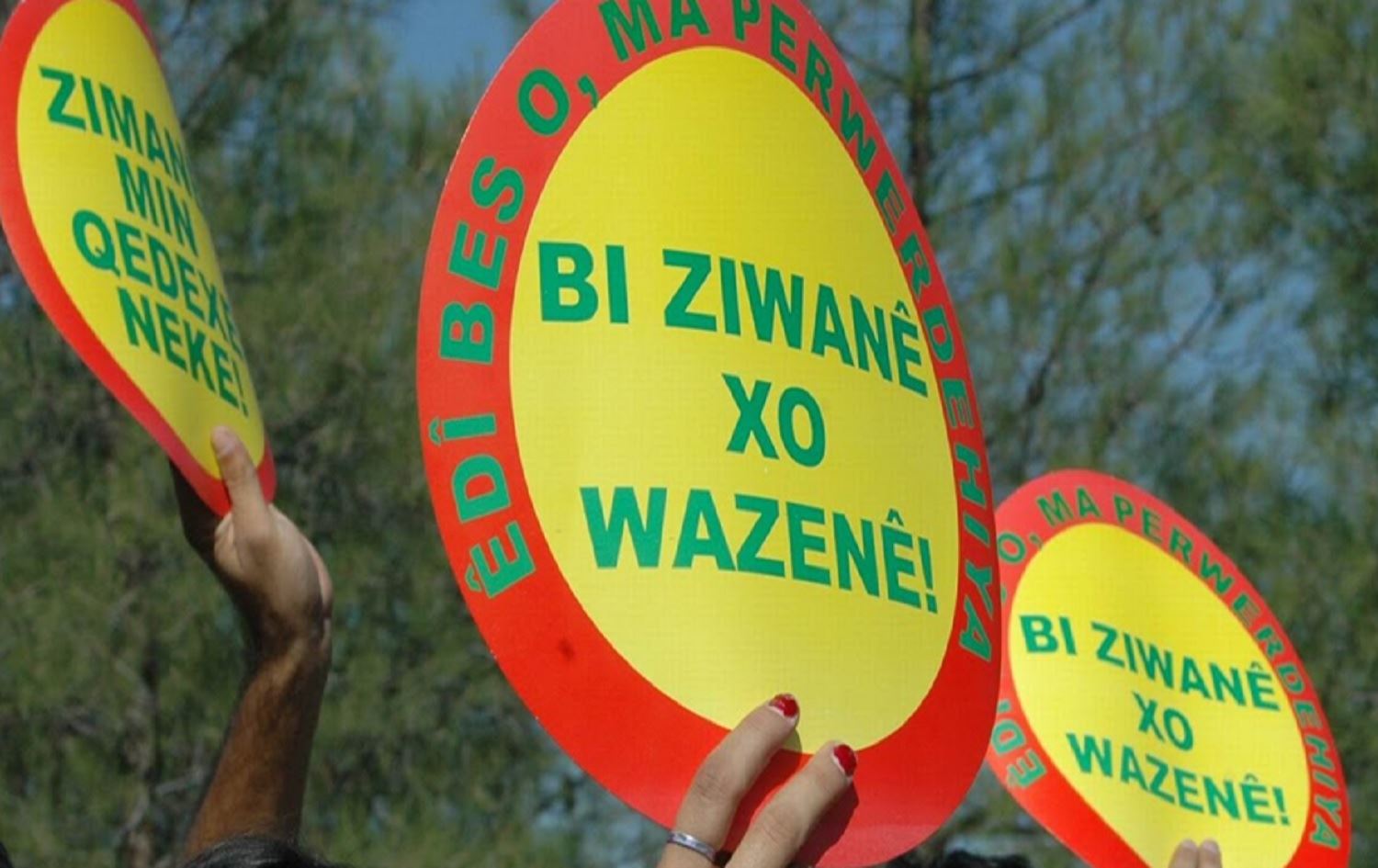 Li Bakurê Kurdistanê ji bo Roja Cîhanî ya Zimanê Dayikê çalakî tên li darxistin