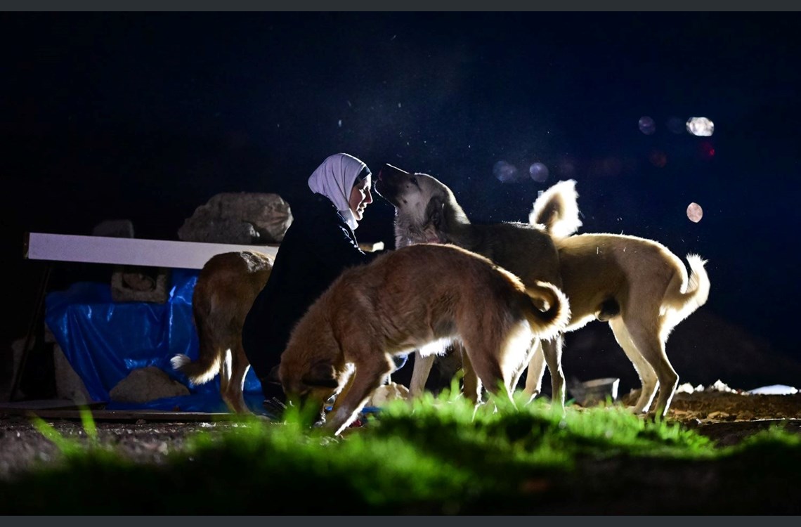Inaam Sabir captured feeding Erbil's stray dogs, on February 17, 2022. Photo: Bilind T. Abdullah/Rudaw 