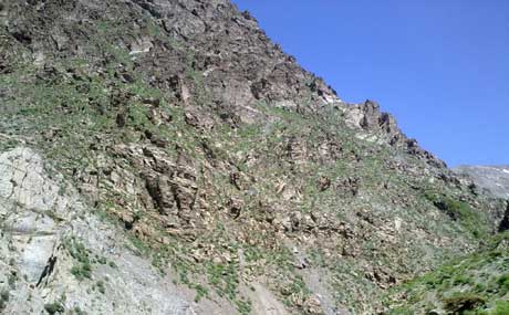 دوای 20 كاژێر مانەوە لە ناوچەیەكی بە مین چێنراو رزگاریان بوو