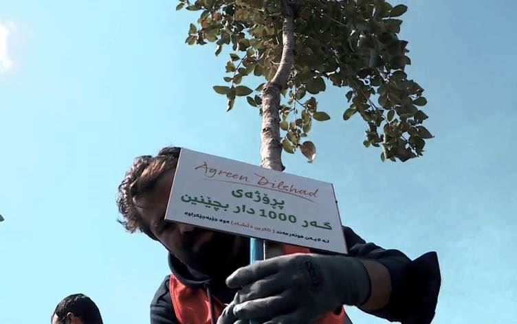 KLİBİ TEPKİ TOPLAMIŞTI - Kürt şarkıcı Agrîn Dilşad, bin ağaç dikecek