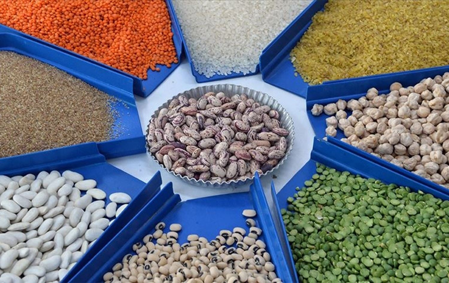 Tirkiyê ji ber şer hinardekirina 3 berheman sînordar kir