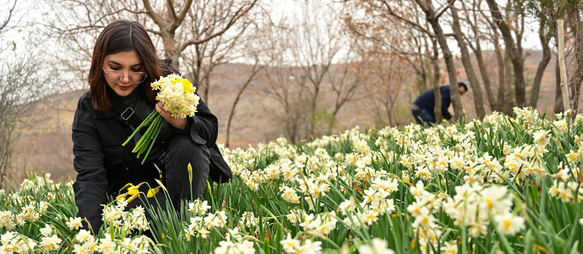 FOTO GALERİ- Duhok’ta Nergis Festivali
