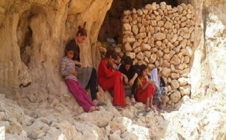 Kasım Şeşo: Şengal Dağı’nda 2-3 bin savaşçı var