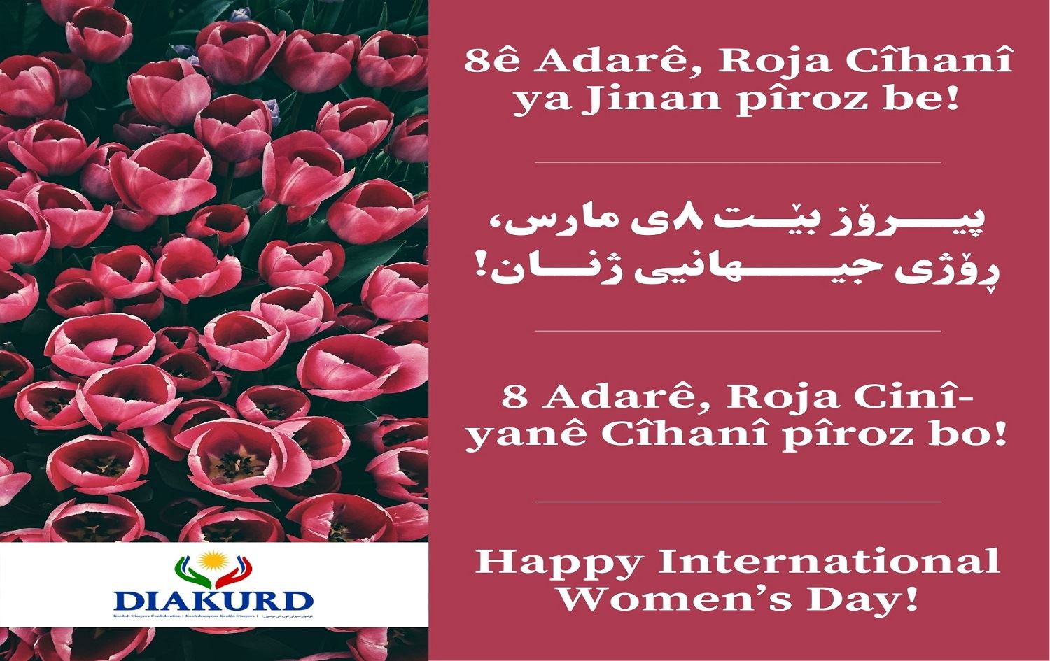 Diakurd: Bê azadiya jinan civat azad nabe