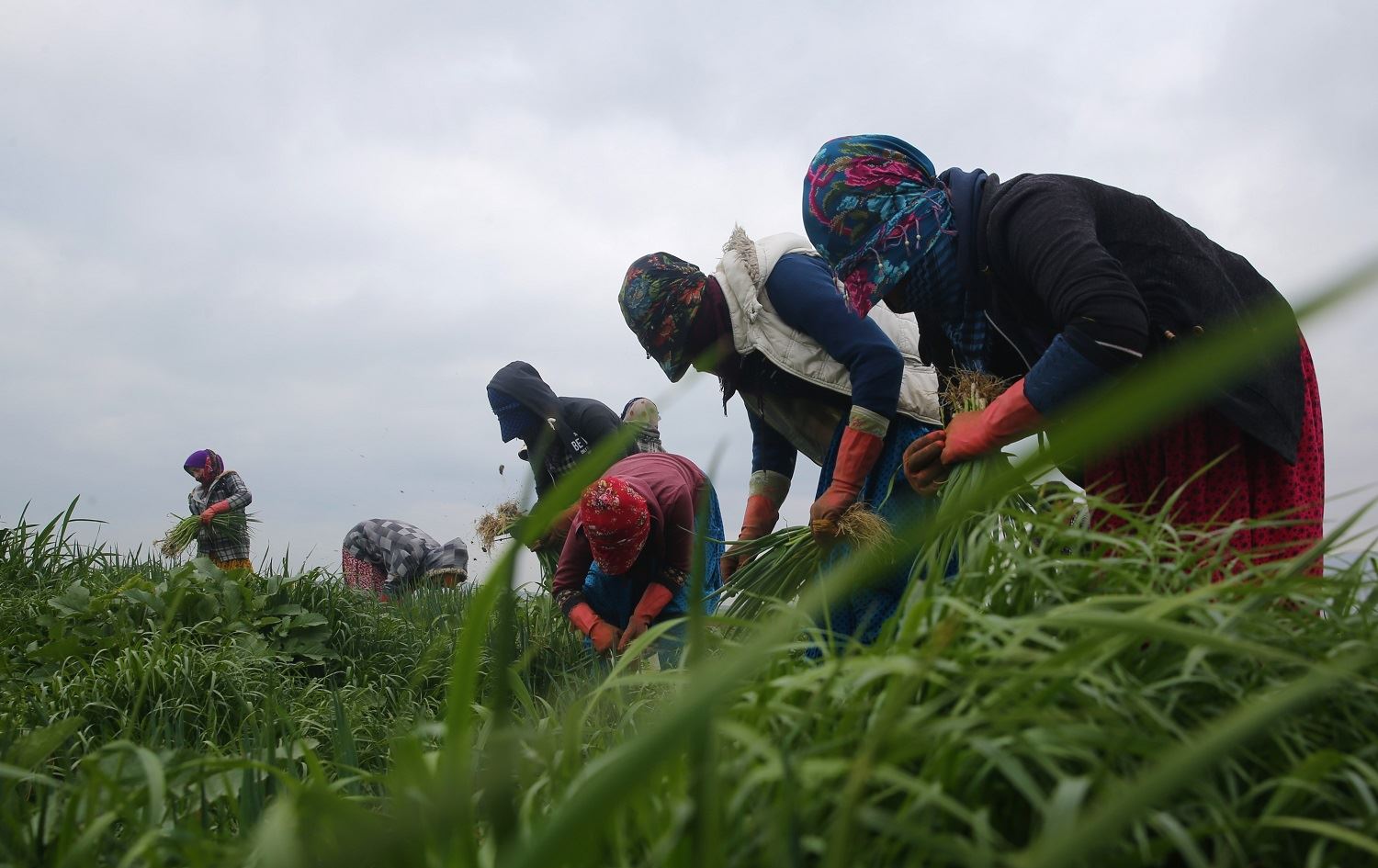 Li Qoserê jinên kedkar di Roja Cîhanî ya Jinan de jî kar dikin