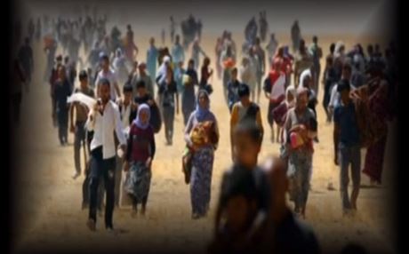 جوان حاجۆ كلیپێك بۆ شنگال بڵاودەكاتەوە