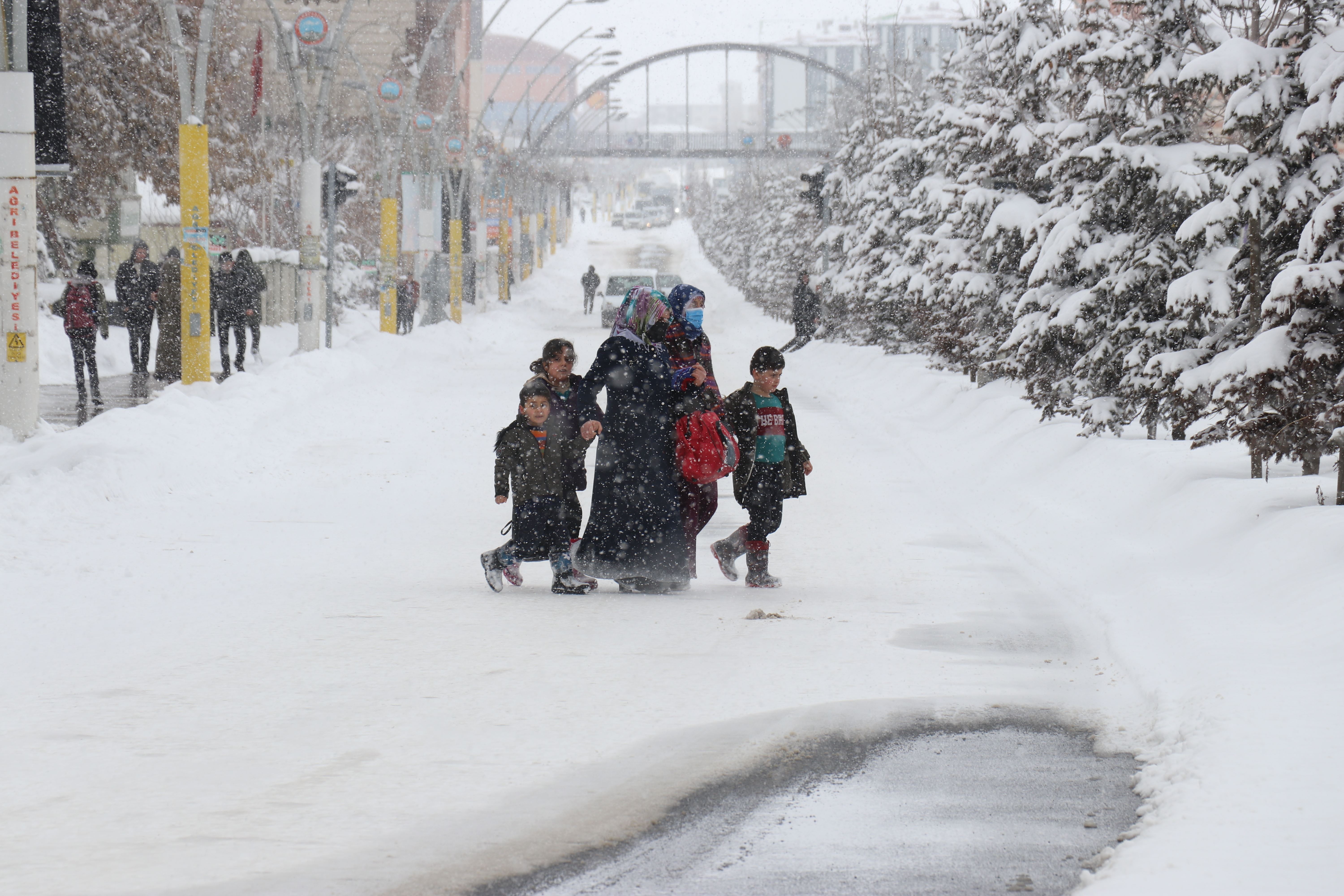 Li Bedlîs û Mûşê perwerde hat rawestandin