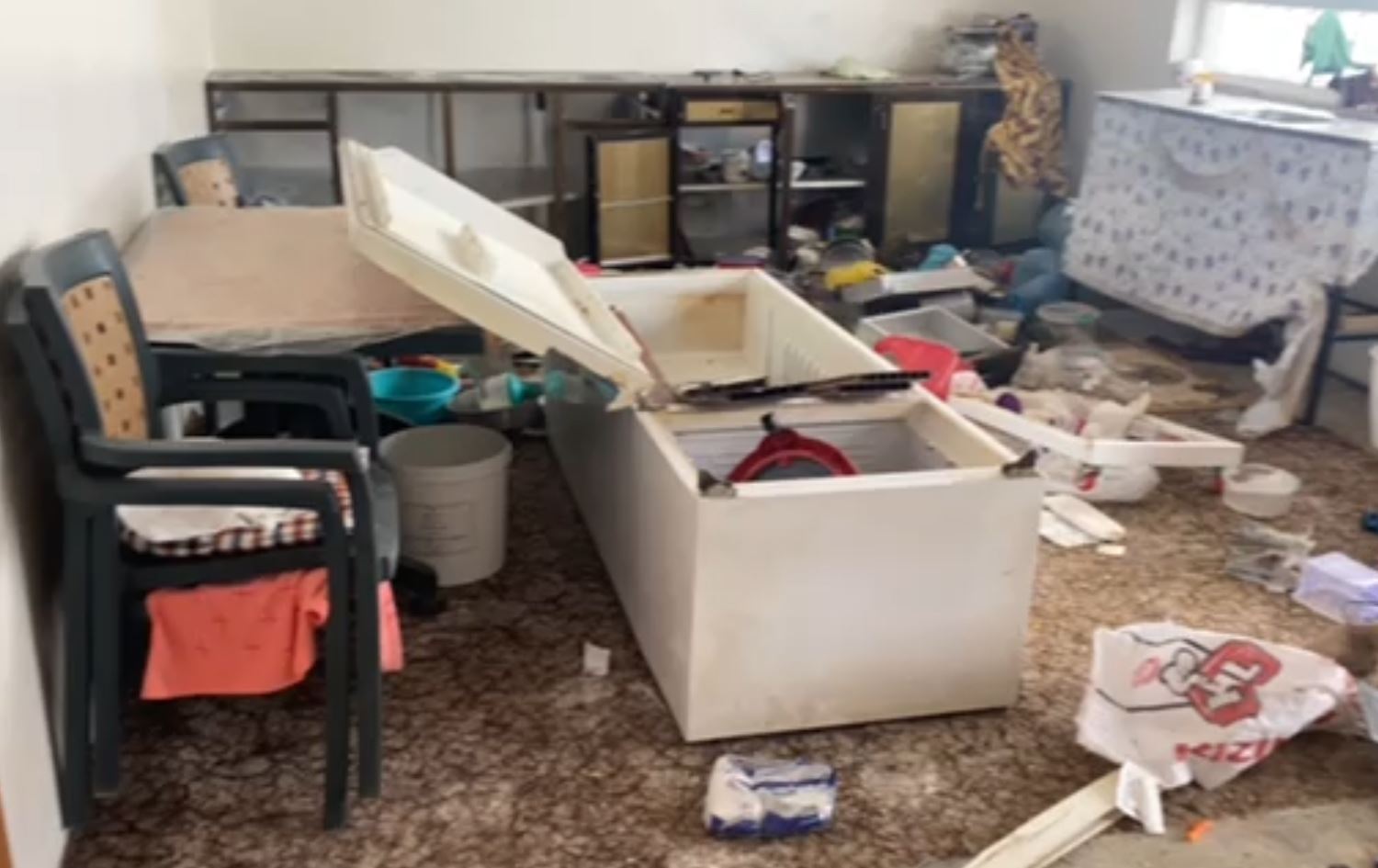 لە بەرواری باڵا ورچ هێرش دەکاتە سەر حەوت ماڵ