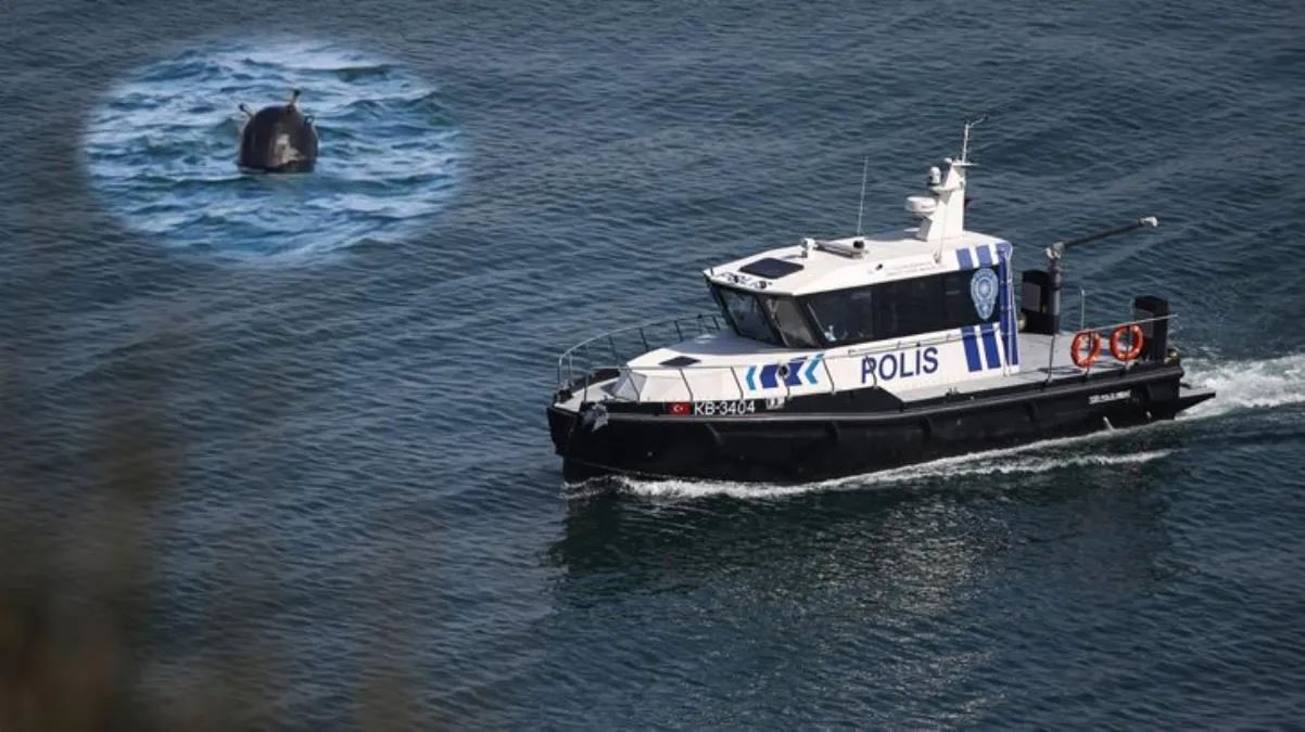 Kırklareli-İğneaada’da mayın tespit edildi