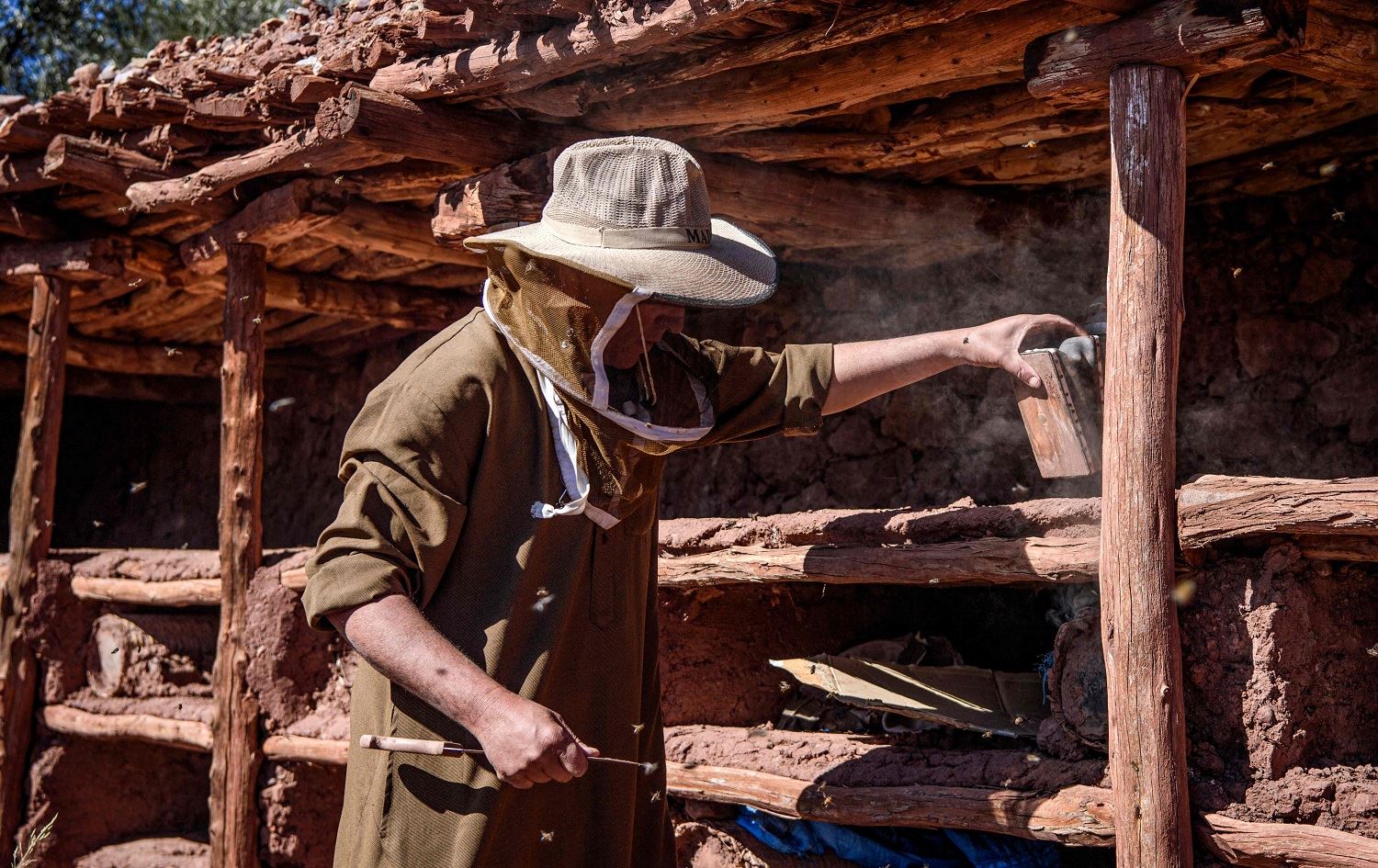 Gundê bi hingivê xwe dihat naskirin metirsî li ser heye