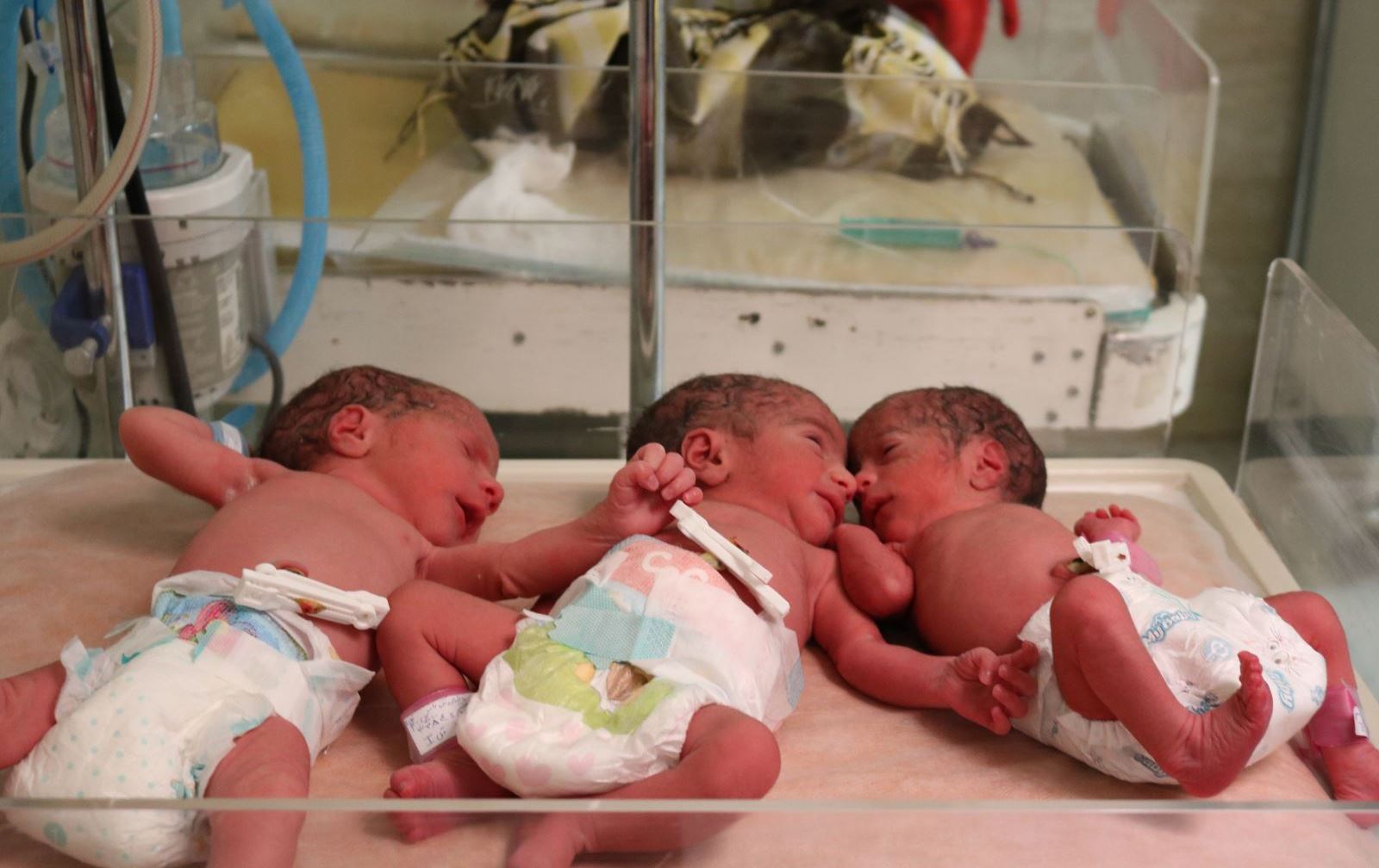 لە ماوەی ساڵێکدا لە ئیلام 351 منداڵی دووانە و سیانە لەدایکبوون