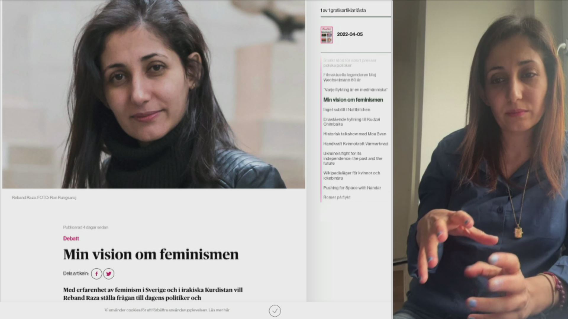 Jineke Kurd ji bo siyasetmedarên Swêdê: Ji xebatên Nêçîrvan Barzanî yên ji bo parastina mafên jinan sûd werbigirin