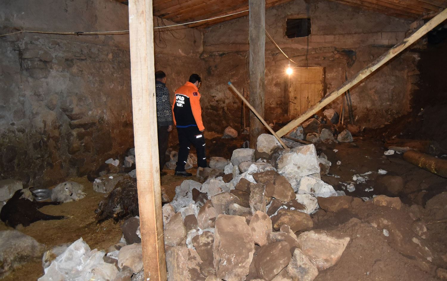 Kars'ta ahır çöktü: 70 küçükbaş hayvan telef oldu