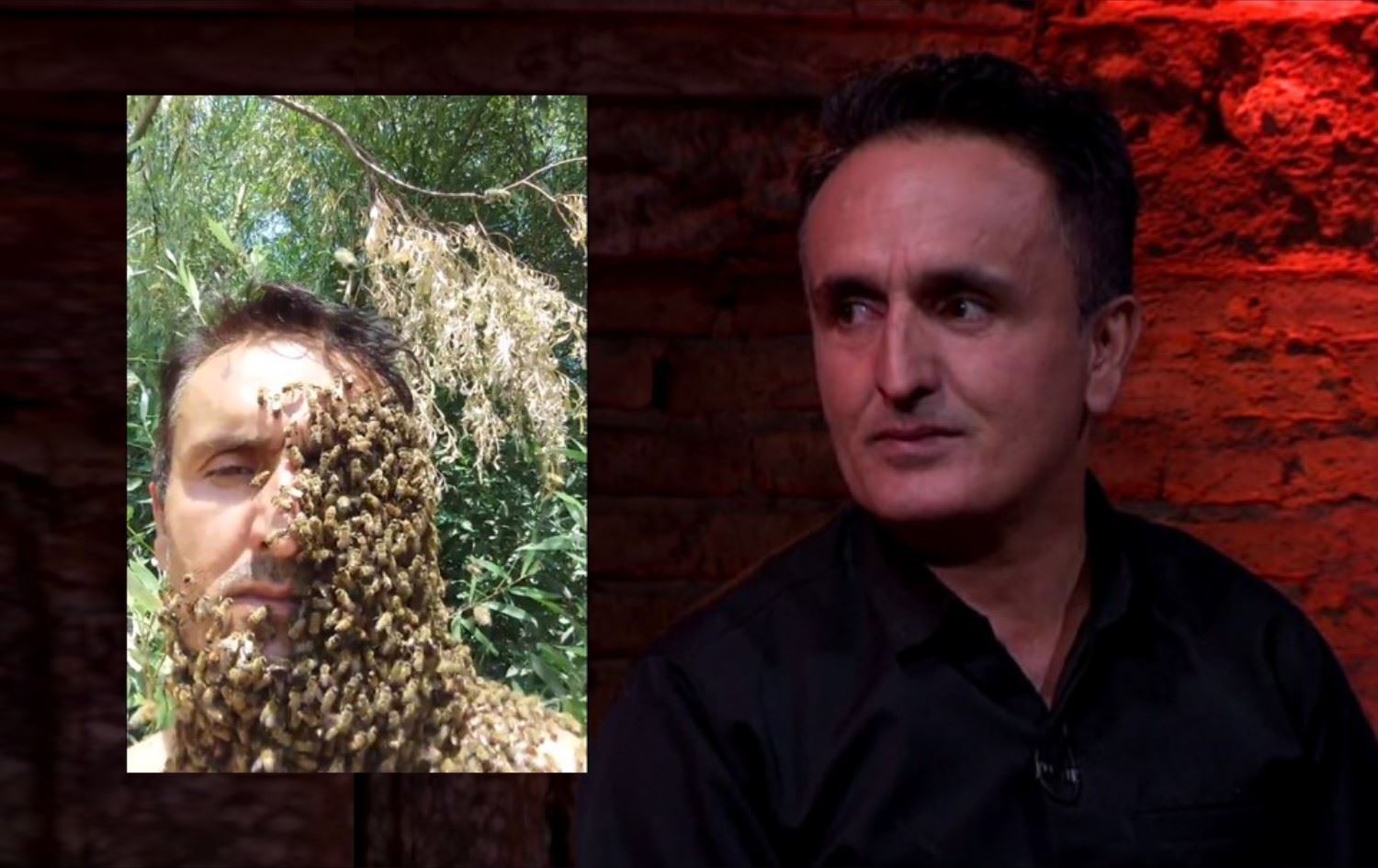 هەنگەوانێک سەرکێشی دەکات و بەشێکی جەستەی بە هەنگ دادەپۆشێت