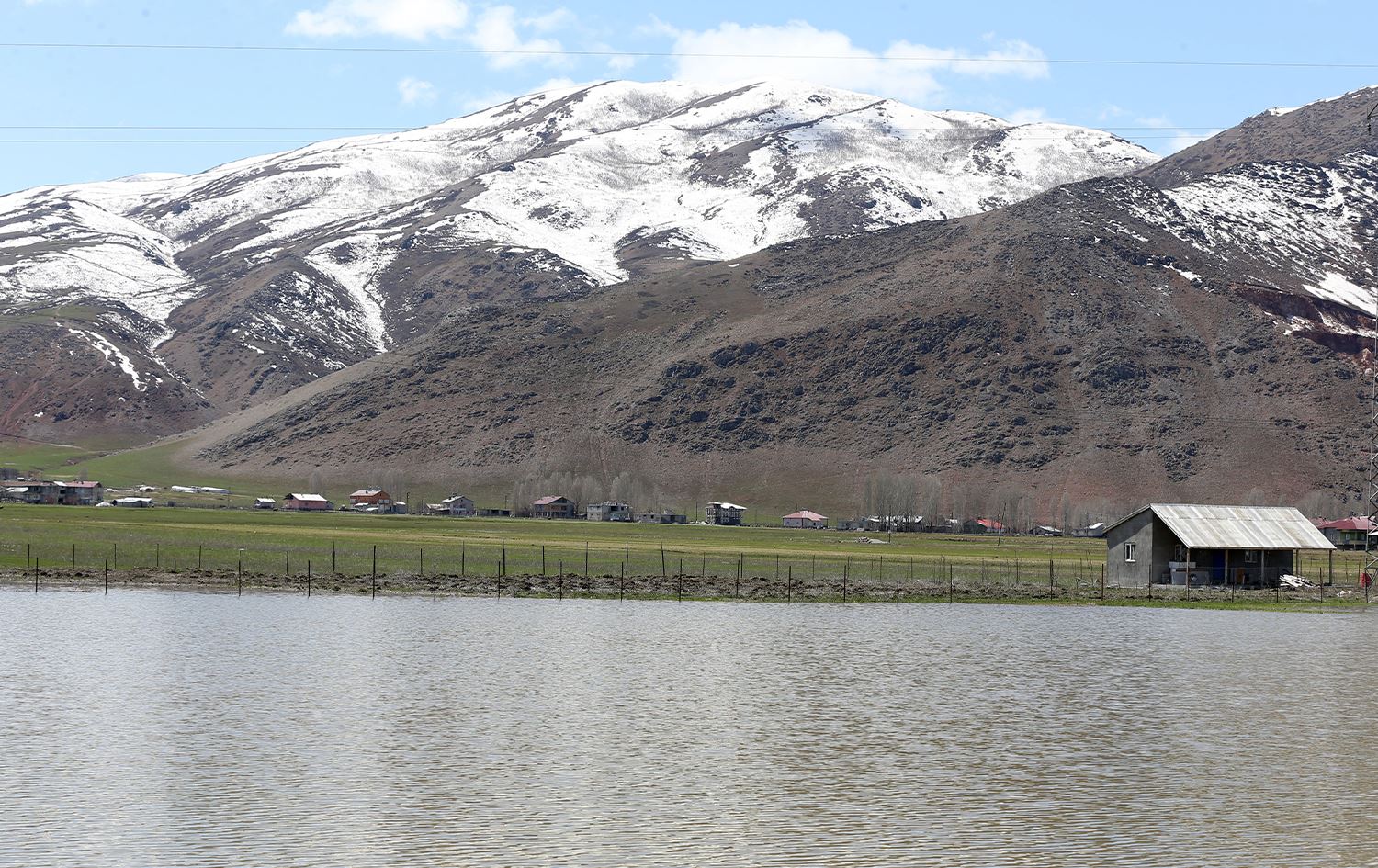 Biharê herêma Serhedê bi rengê xwe xemilandiye