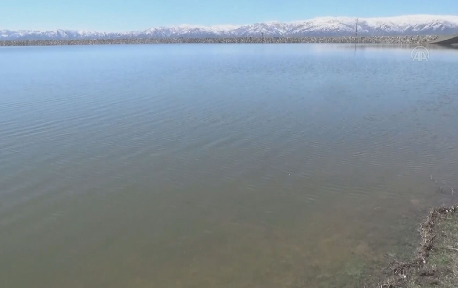 باکووری کوردستان؛ لە مووش ئاوی بەنداو و زۆنگاوەکان سەرڕێژ بوون