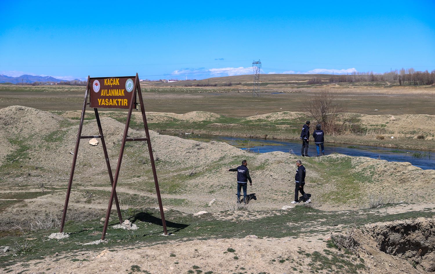 Li Wanê parastina masiyên Kefal