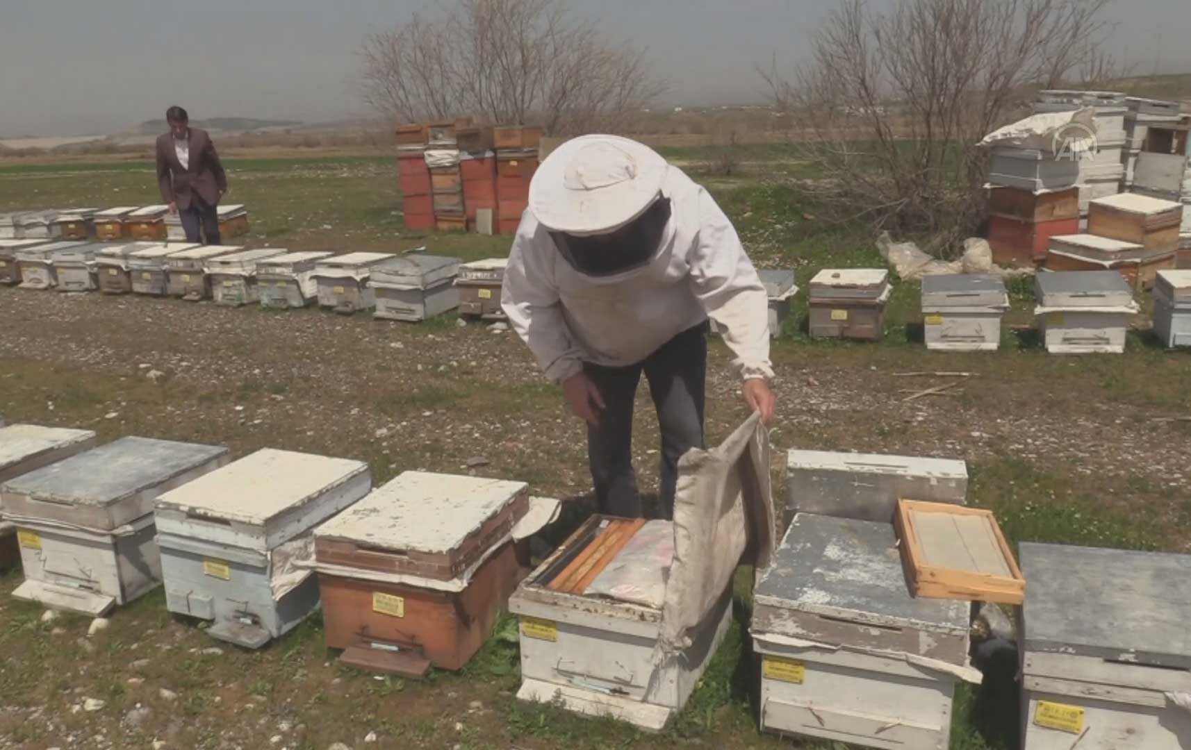 لە ئێلیهی باکووری کوردستان ئەمساڵ چاوەڕێی ژمارەپێوانەیی لە بەرهەمی هەنگوین دەکرێت
