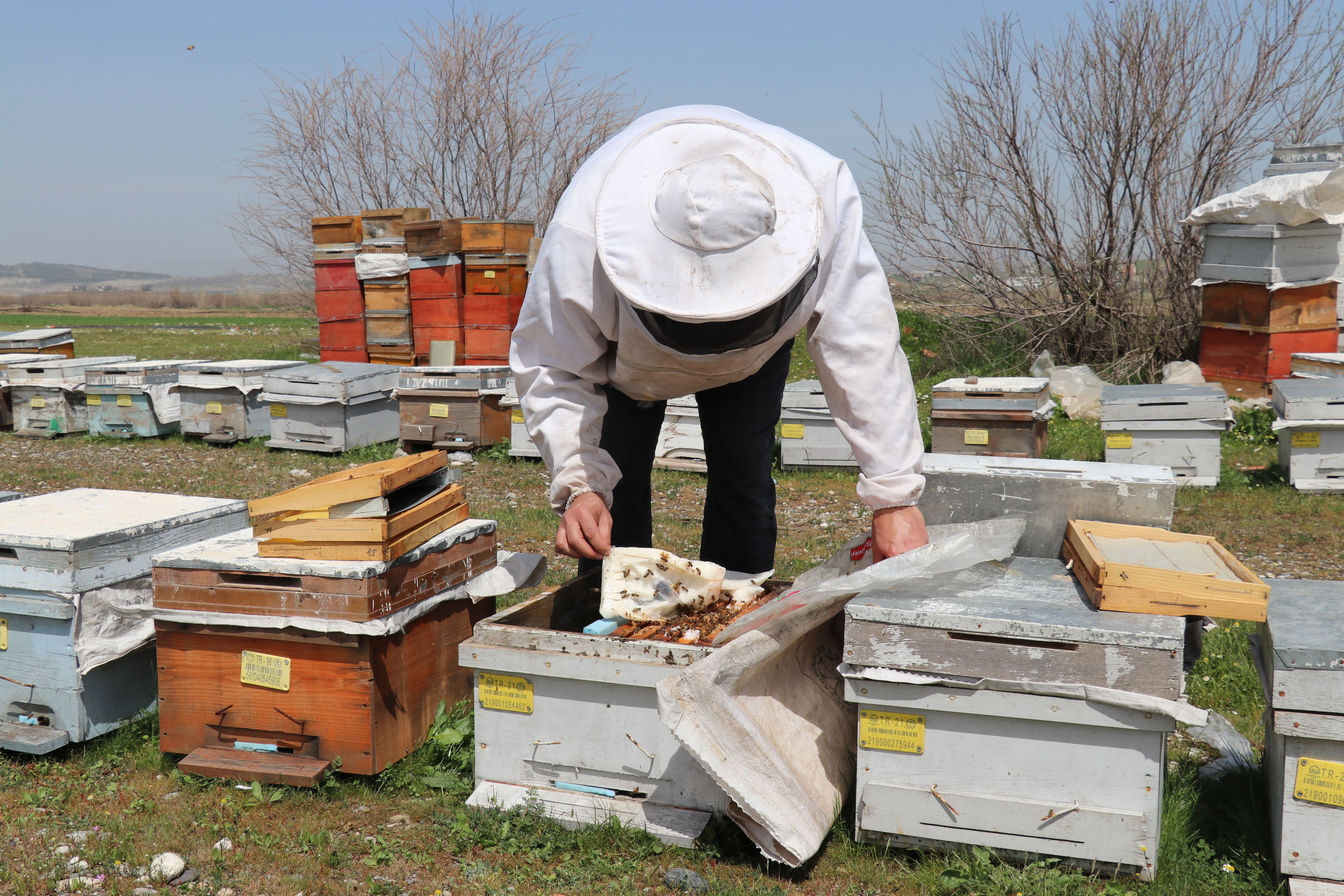 Li Êlihê îsal berhema hingiv zêde ye