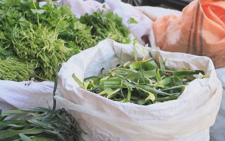 Li Şêladizê ji ber operasyona Tirkiyê gundî ji dahata giyayên biharê bêpar man