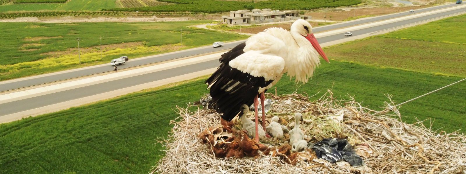 لەقلەقەکانی دەڤەری راپەڕین