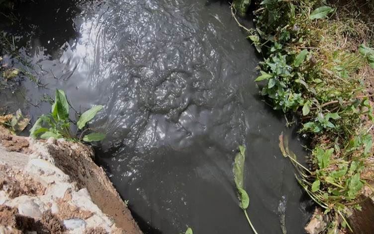 Köylere akan kanalizasyon suyu nedeniyle Halfeti’de köylülerin hayatı tehlikede